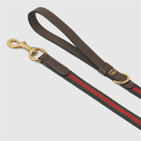 guinzaglio gucci prezzo|Amazon.it: Guinzaglio Per Cani Gucci.